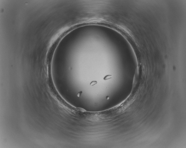 X0000069391414200605121159