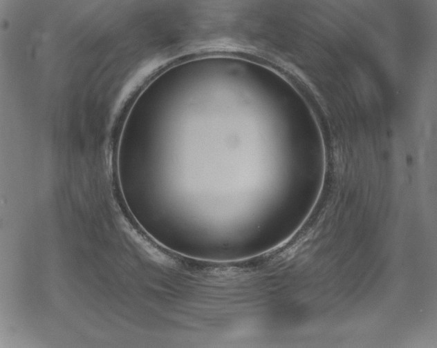 X0000069391416200605121159