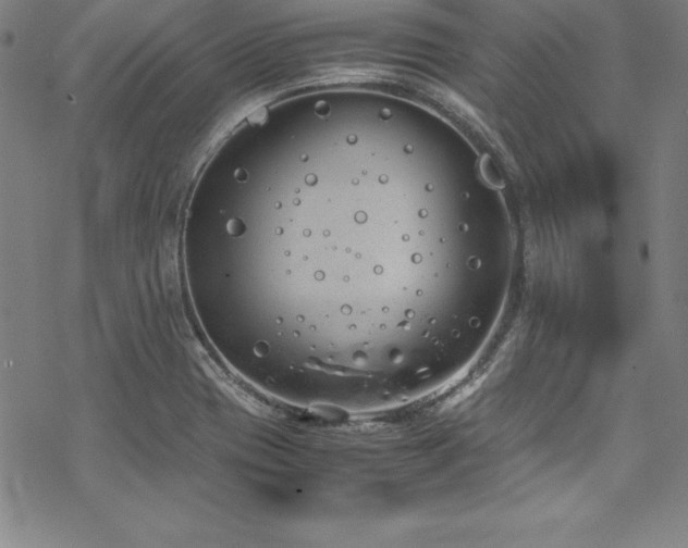 X0000069391417200605121159