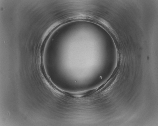 X0000069391418200605121159