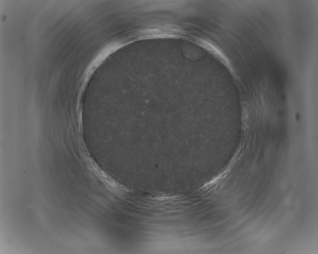 X0000069391419200605121159