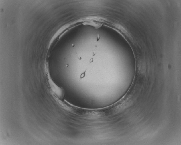 X0000069391420200605121159