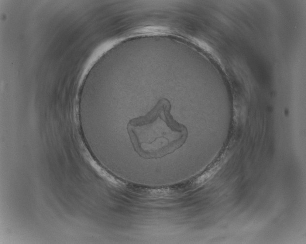 X0000069391421200605121159