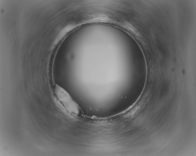 X0000069391422200605121159