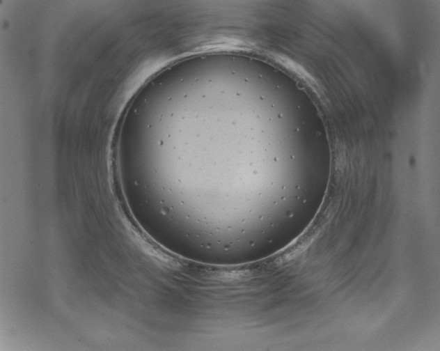 X0000069391423200605121159