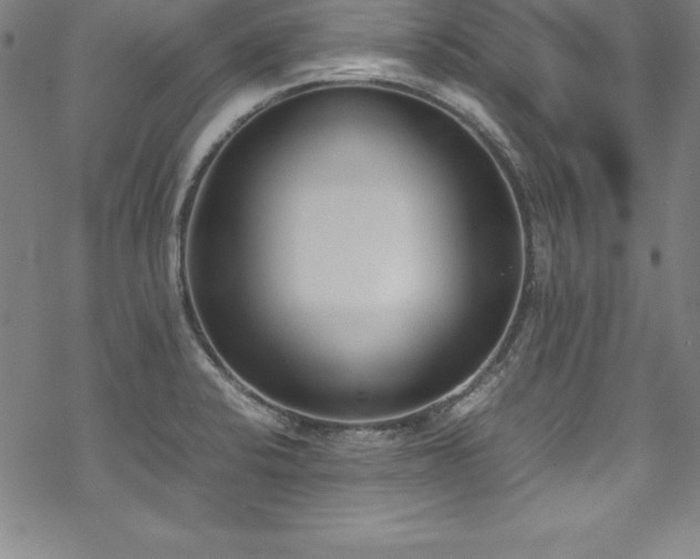 X0000069391424200605121200