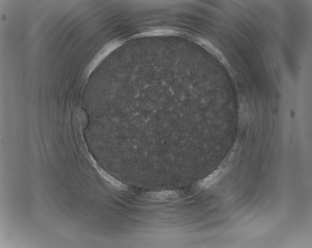 X0000069391425200605121200