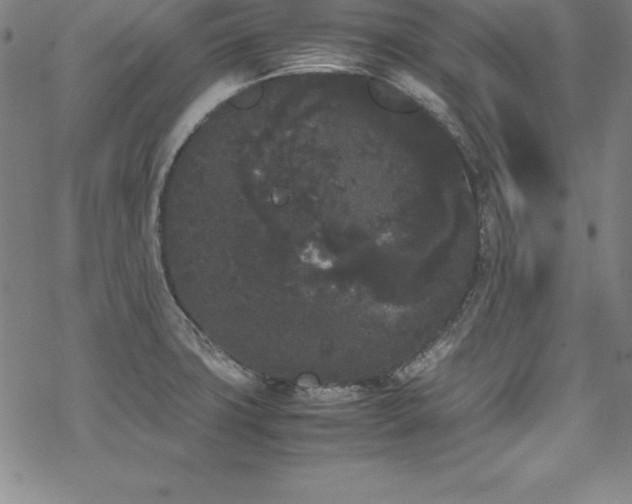 X0000069391427200605121200