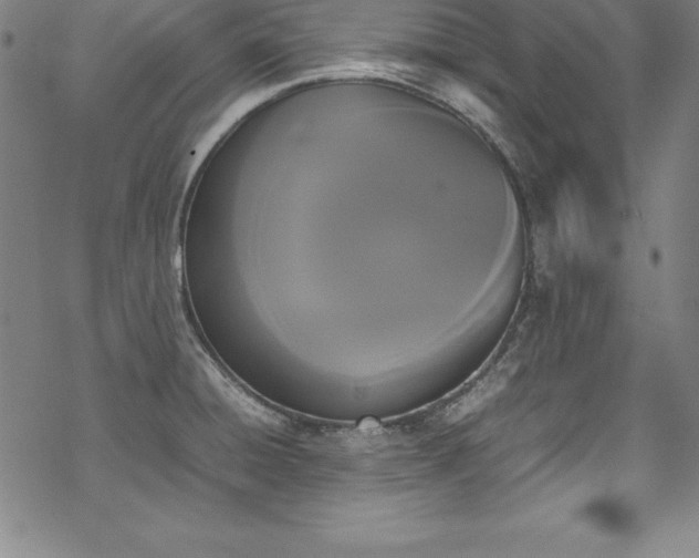 X0000069391428200605121200