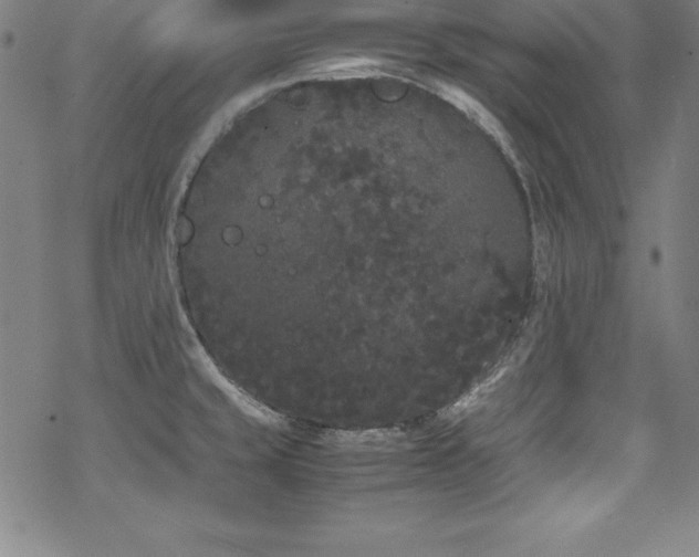 X0000069391429200605121200