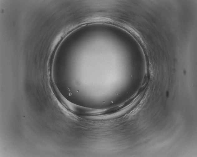 X0000069391430200605121200