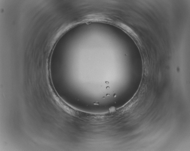 X0000069391431200605121200