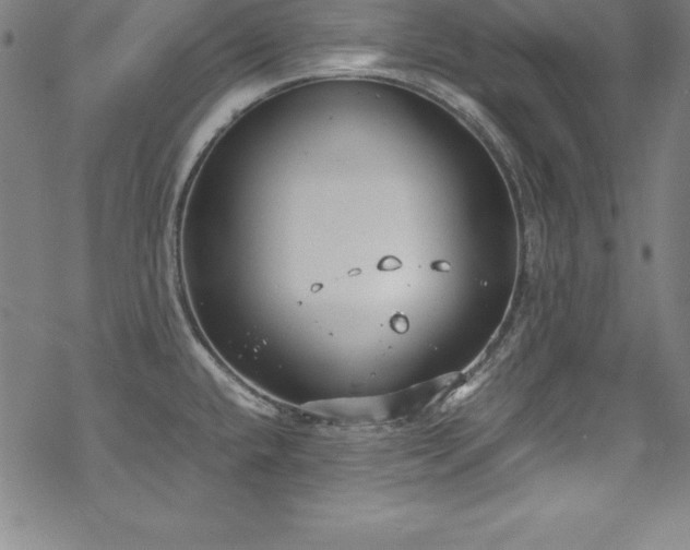 X0000069391432200605121200