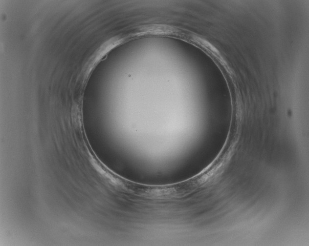 X0000069391433200605121200