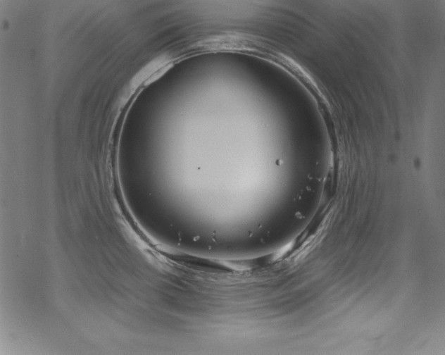 X0000069391434200605121200