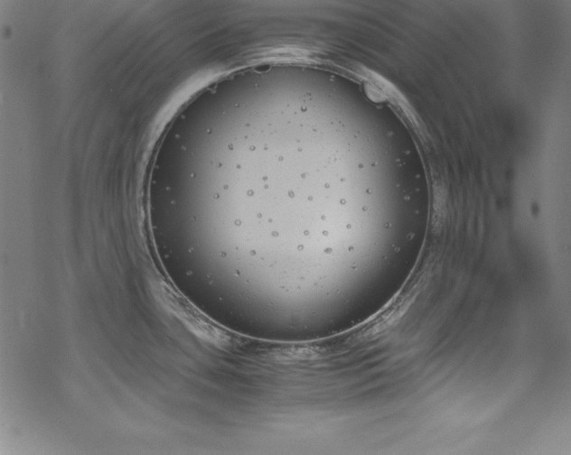 X0000069391435200605121200