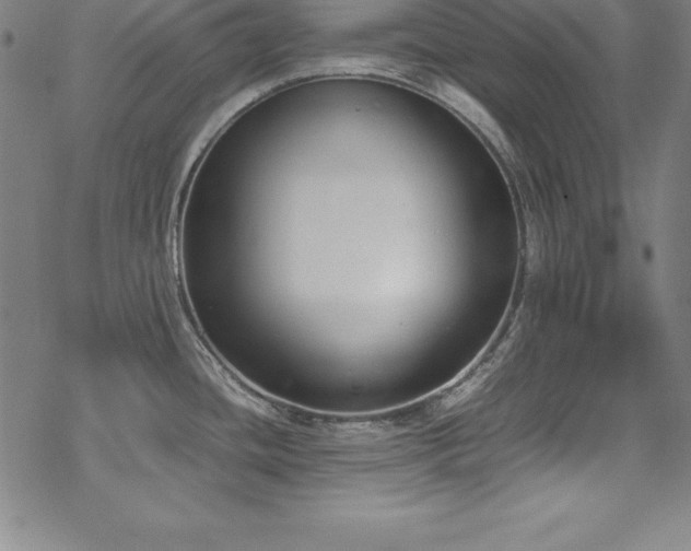 X0000069391436200605121200