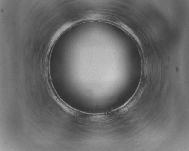 X0000069391437200605121200