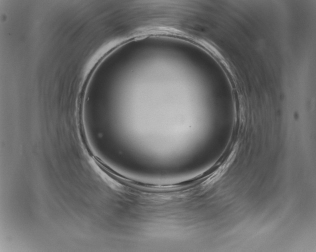 X0000069391438200605121200