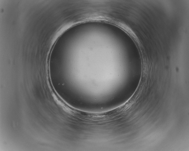 X0000069391439200605121200