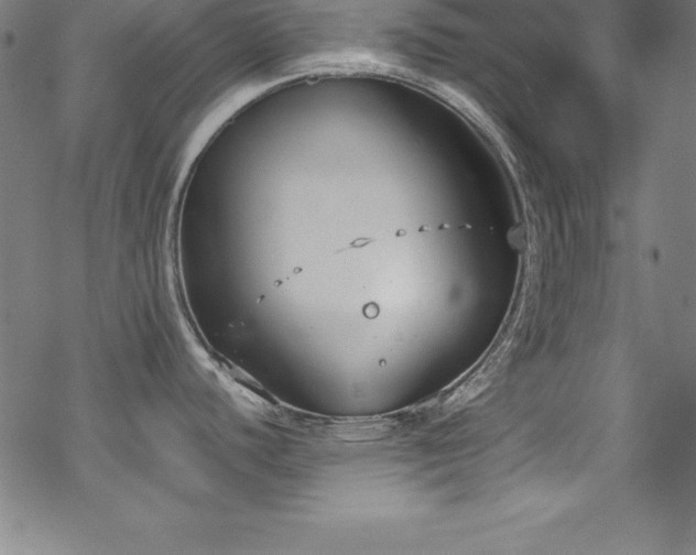 X0000069391440200605121200