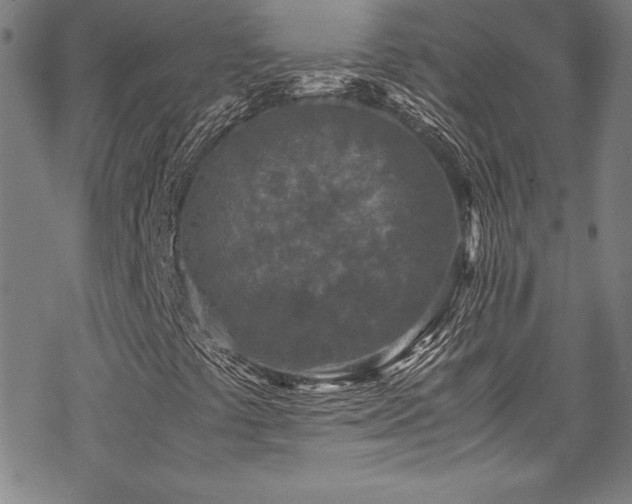 X0000069391441200605121159