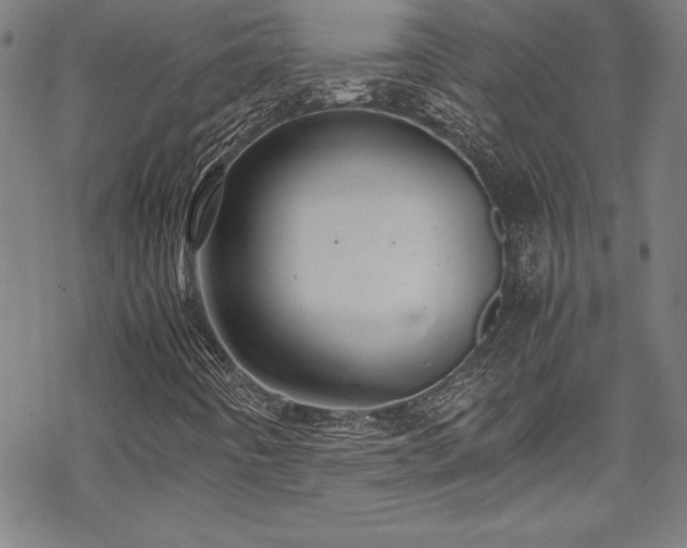 X0000069391442200605121159