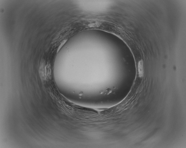 X0000069391443200605121159