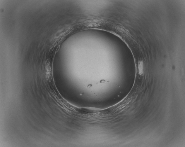 X0000069391444200605121159