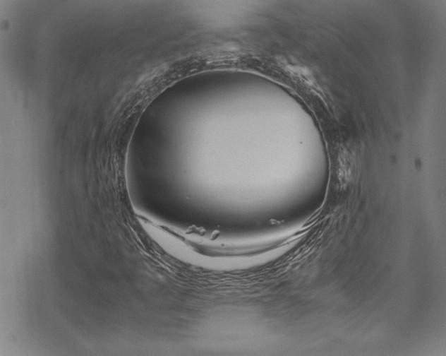 X0000069391445200605121159