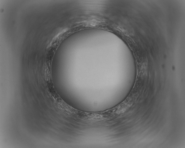 X0000069391446200605121159