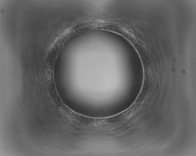 X0000069391447200605121159