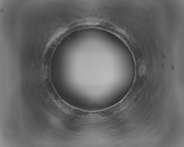 X0000069391448200605121159