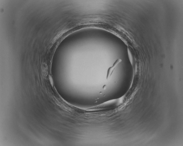 X0000069391449200605121159