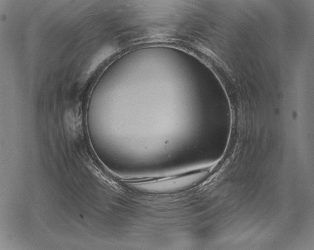 X0000069391450200605121159