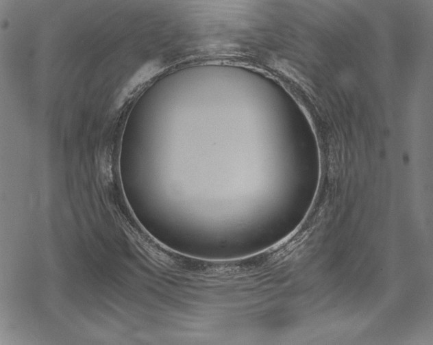 X0000069391451200605121159