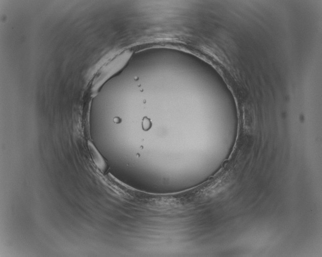 X0000069391452200605121159