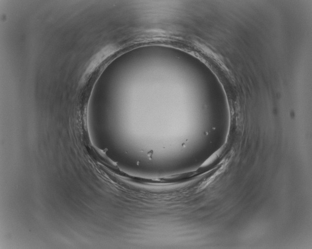 X0000069391453200605121159