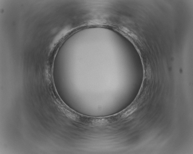 X0000069391454200605121159