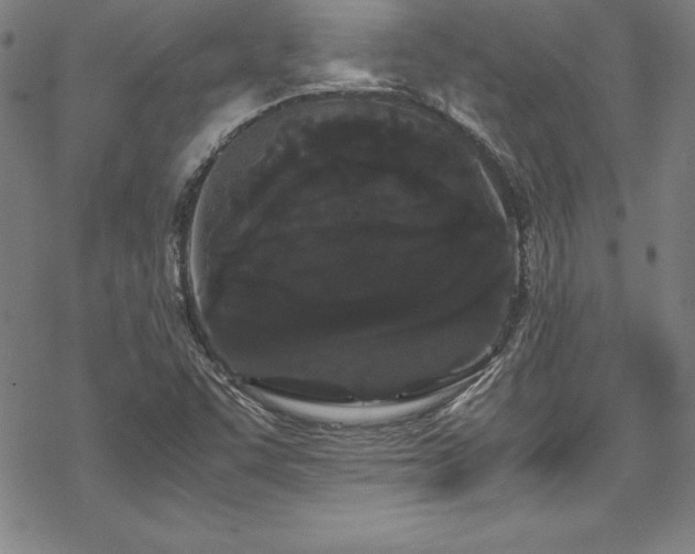 X0000069391455200605121159