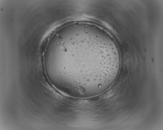 X0000069391456200605121159