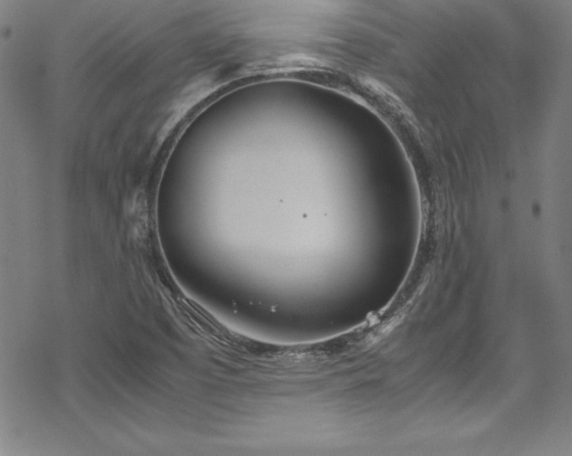 X0000069391457200605121159