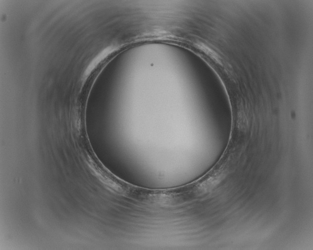 X0000069391458200605121159