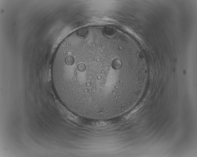 X0000069391459200605121159