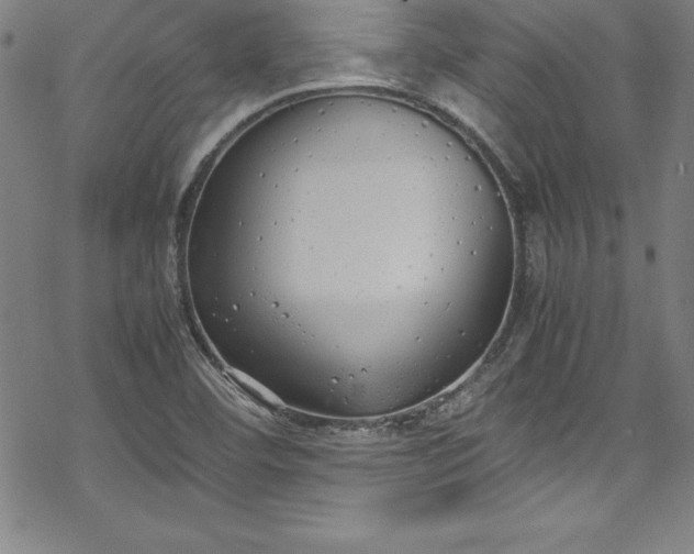 X0000069391460200605121159