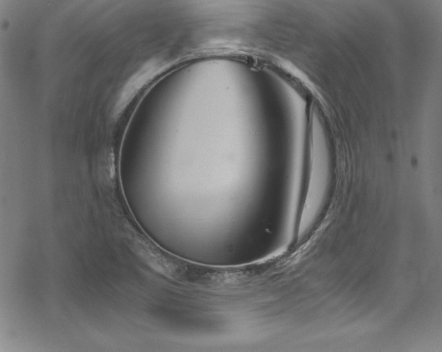 X0000069391461200605121159