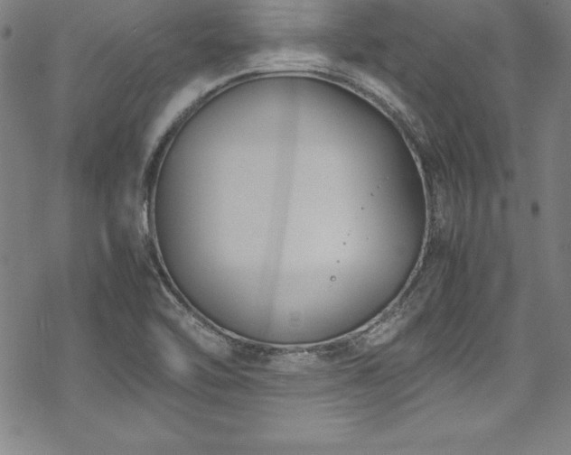 X0000069391462200605121159