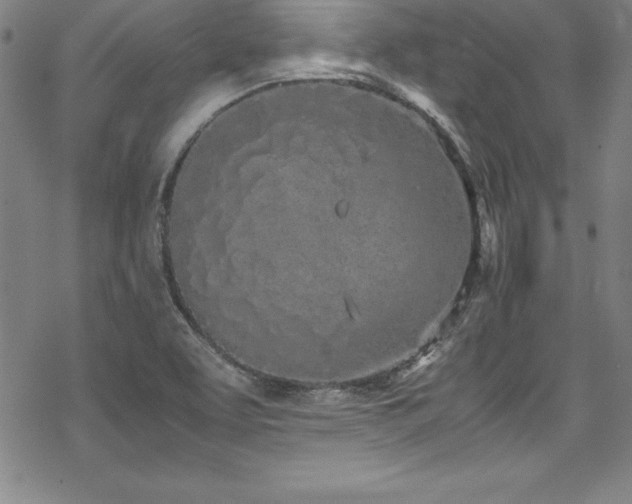 X0000069391463200605121159