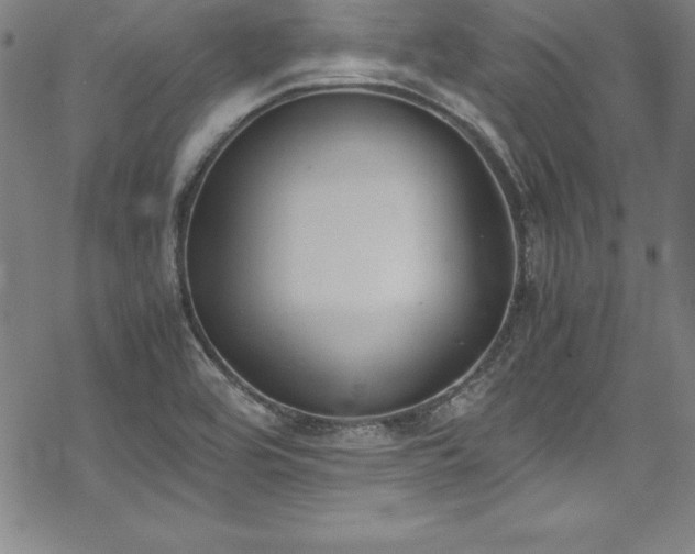 X0000069391464200605121159