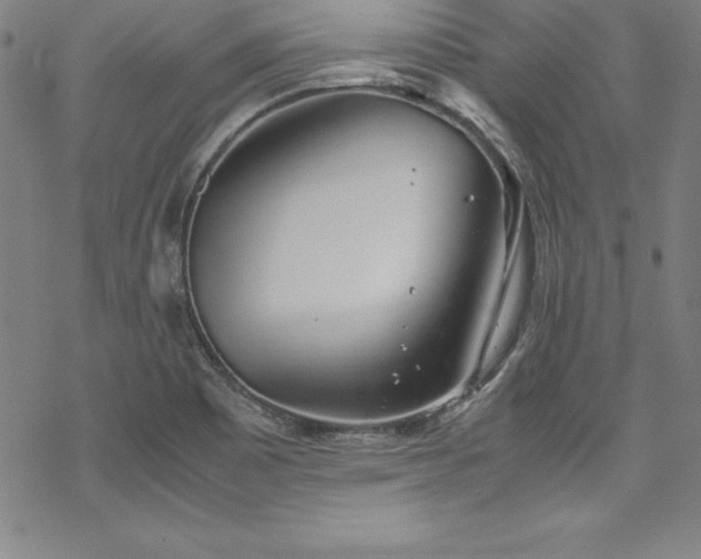 X0000069391465200605121159